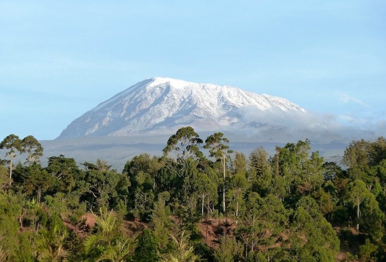 Flights from New York, USA to Kilimanjaro, Tanzania from only $664 roundtrip